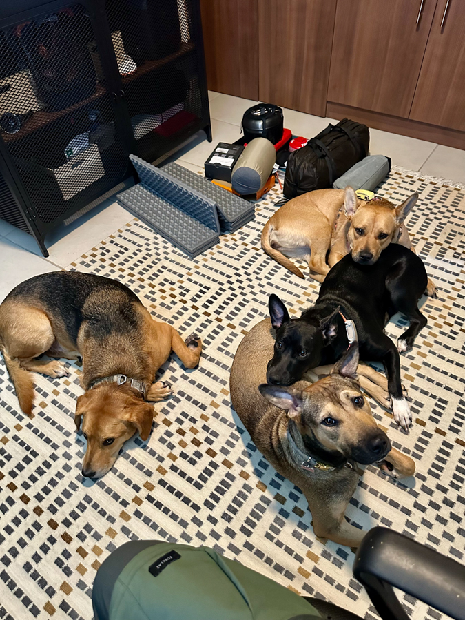 The Pack